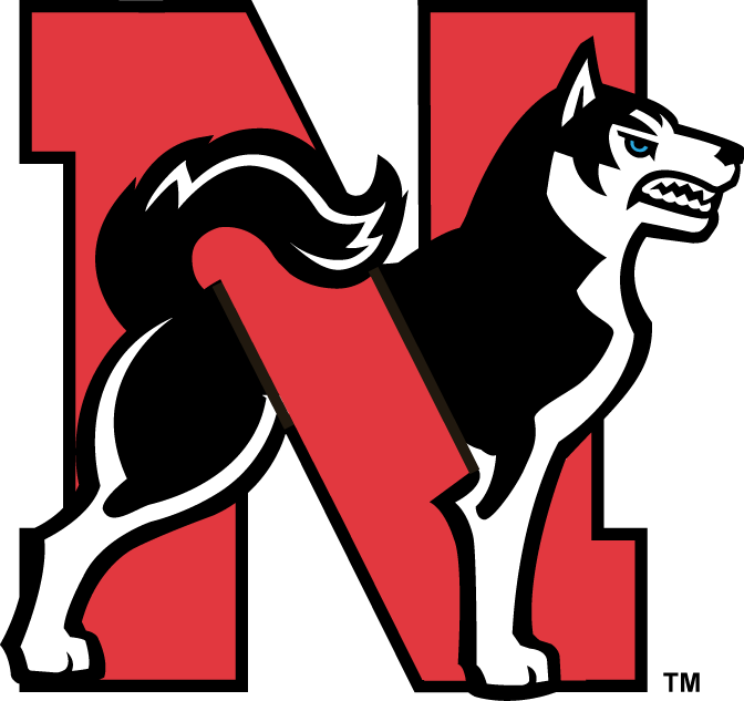 Northeastern Huskies 2001-2006 Alternate Logo v2 diy DTF decal sticker